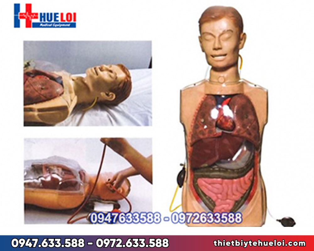 Mô hình thực hành rửa dạ dày